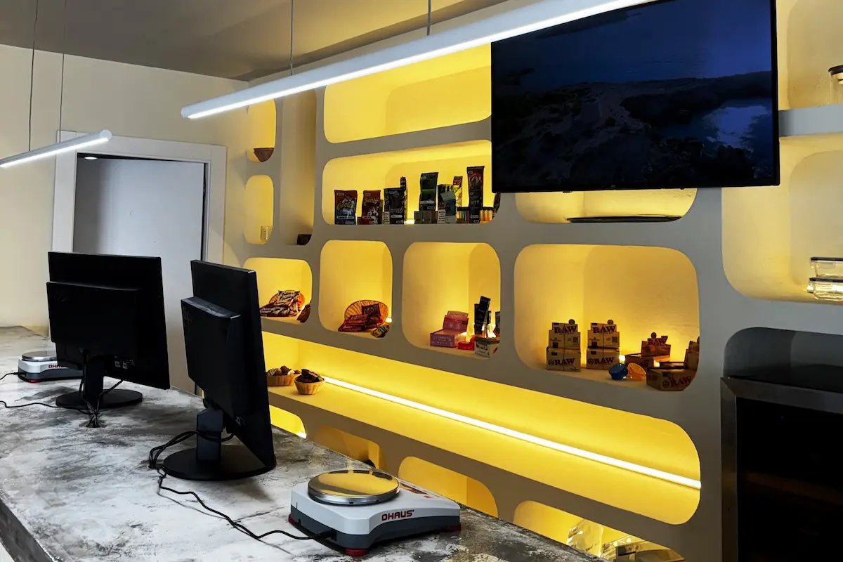 Ibiza cannabis experiences