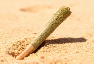 Cannabis culture in Ibiza